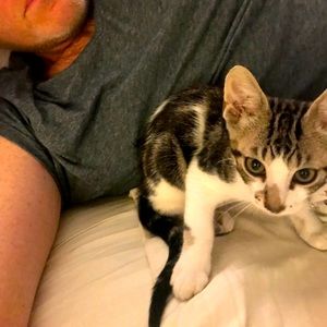 Meet your Posher, Mark